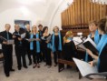 /album/fotogaleria-coral-polifonica-laudatio-cantorum/cimg0477-jpg1/